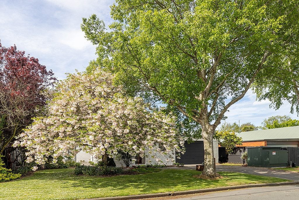 4 Harkness Place, Avonhead, Christchurch - Carousel 23