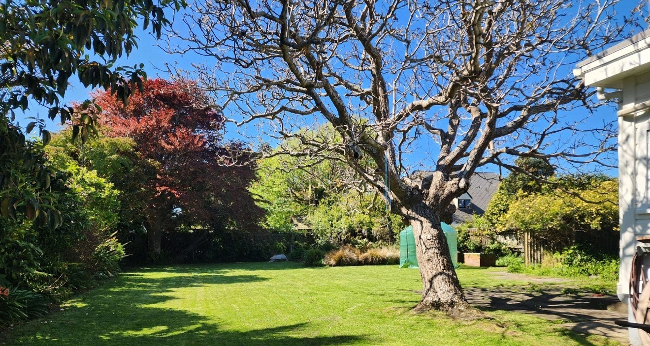17 Nikau Grove, Woburn, Lower Hutt - Carousel 2