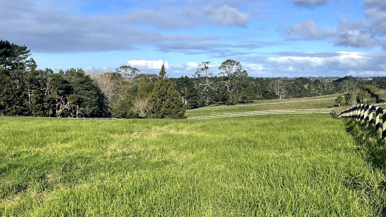 7 Tawa Road, Kumeu - Carousel 2