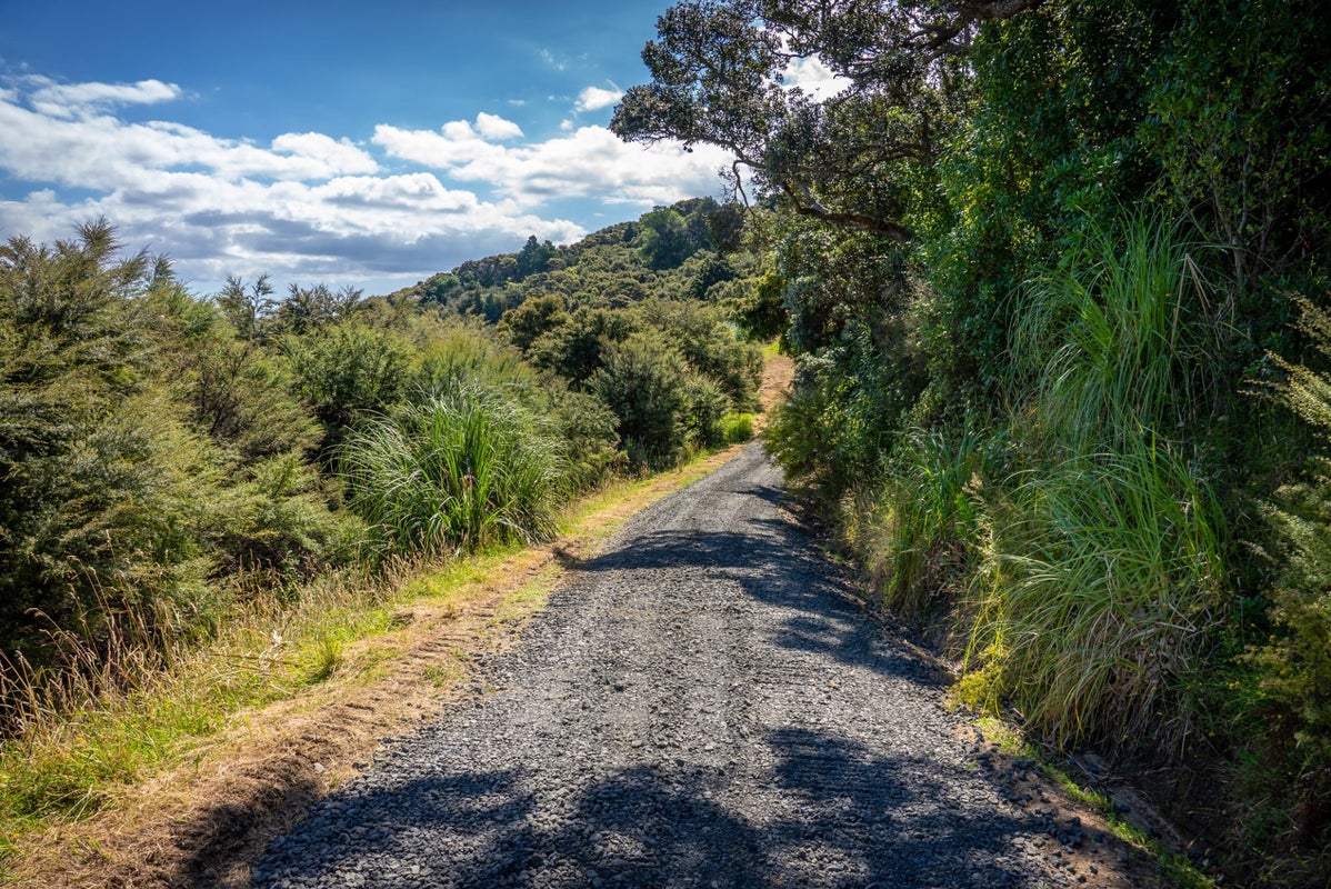 1237 Hibiscus Coast Highway, PUHOI, WARKWORTH - Carousel 2