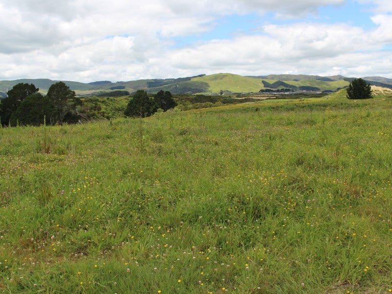 130 Johnstone Drive, Fitzherbert, Palmerston North - Carousel 7