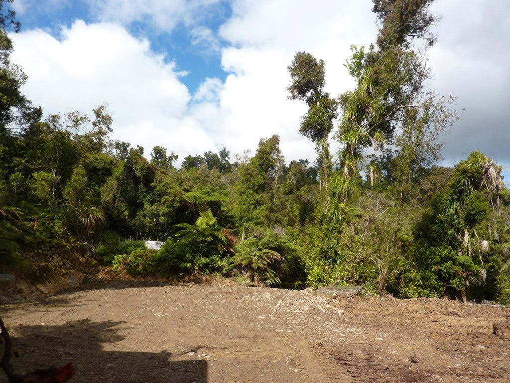 35 Mokihinui Preserve, Seddonville, Westport - Carousel 1