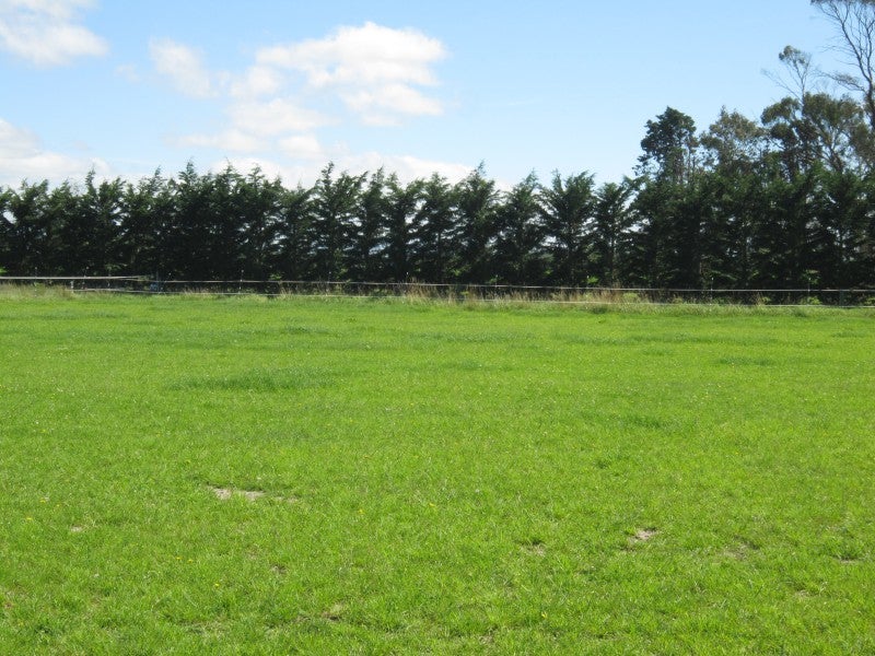 535 Seadown Road, Seadown, Timaru - Carousel 26