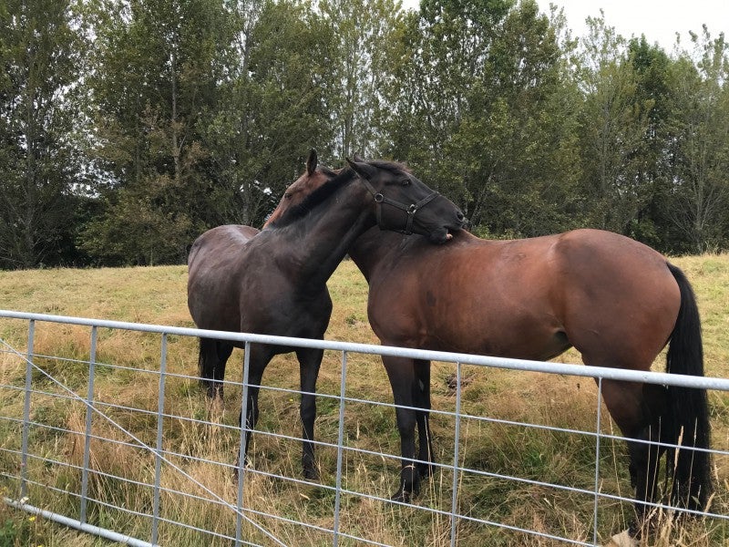 8 Raurimu Road, Raurimu - Carousel 3