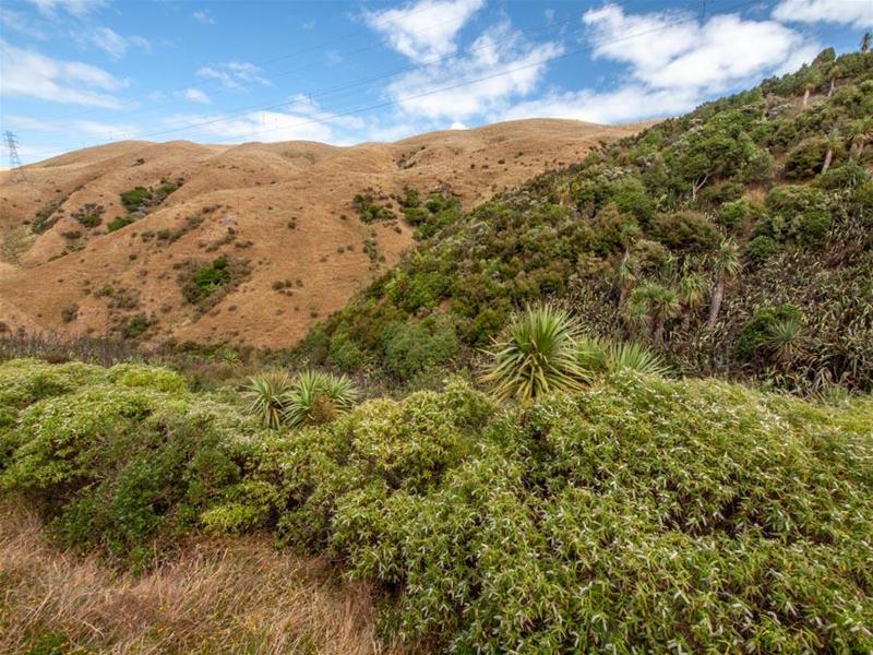 23A Gifford Grove, Churton Park, Wellington - Carousel 17