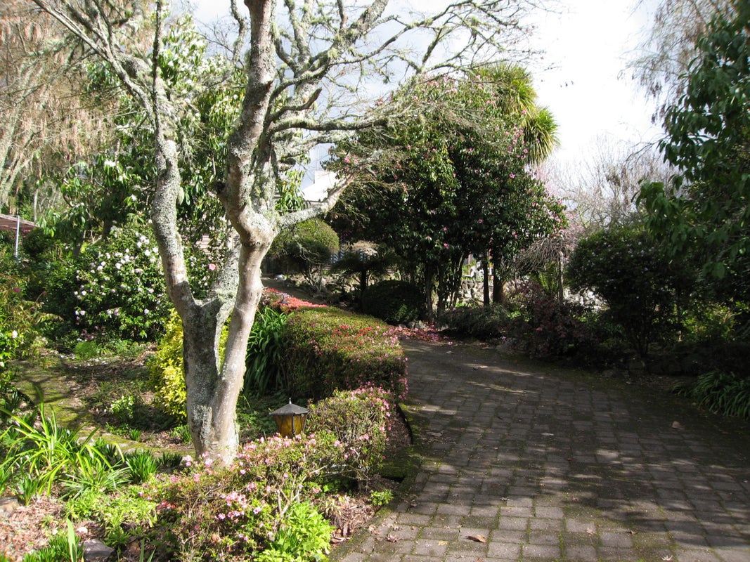 78 Acacia Road, Lake Okareka, Rotorua - Carousel 2