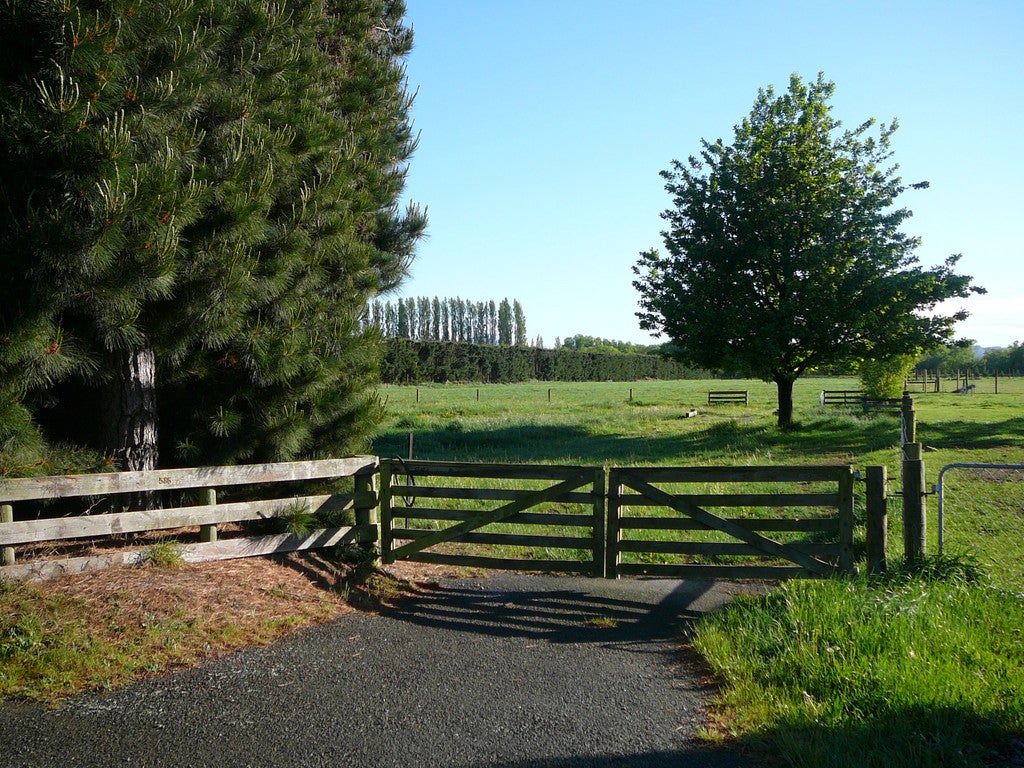 586 Mount Thomas Road, Fernside, Rangiora - Carousel 1