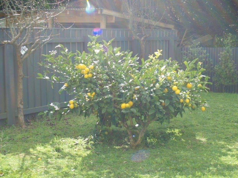 28A Toi Street, Otaki Beach, Otaki - Carousel 20