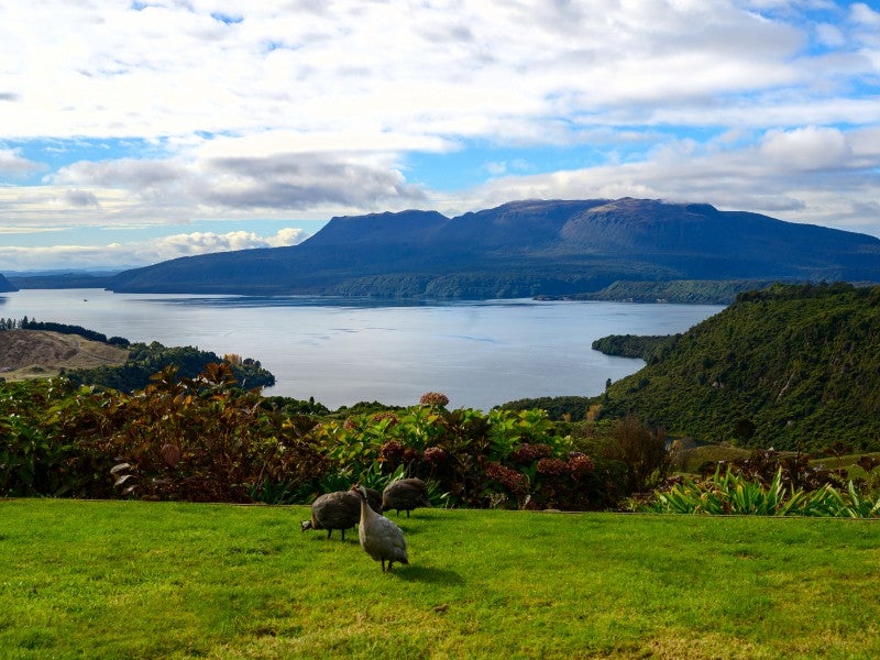1064A Tarawera Road, Lake Tarawera, Rotorua - Carousel 1