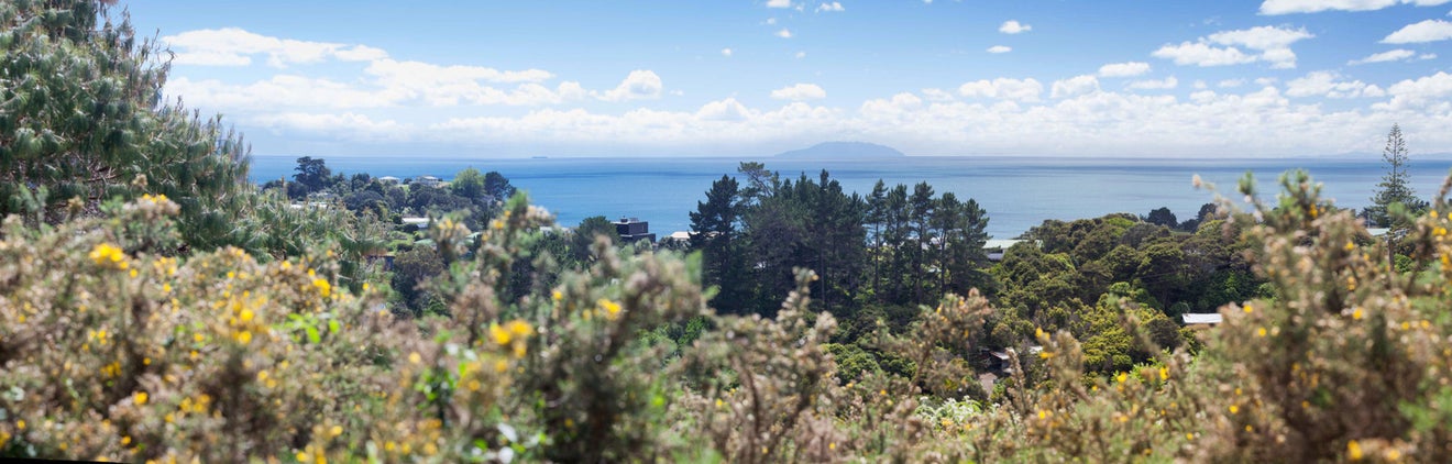 56 Trig Hill Road, Onetangi, Waiheke Island - Carousel 4