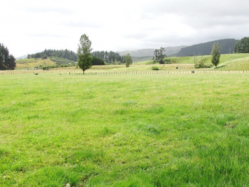 29 Wallace Road, Koputaroa, Levin - Carousel 4
