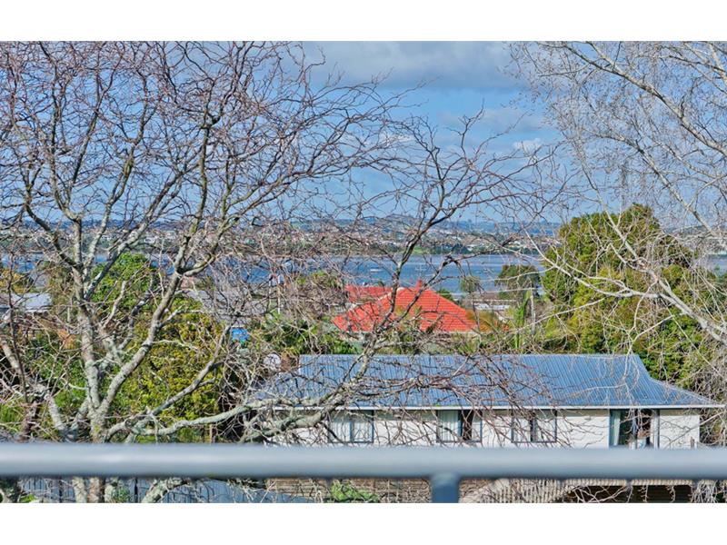 19A Clairville Crescent, Wai o Taiki Bay, Auckland - Carousel 15