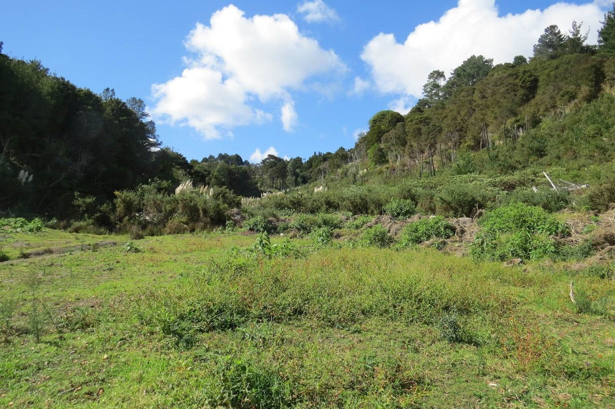 0 Horeke Road, Horeke, Okaihau - Carousel 19