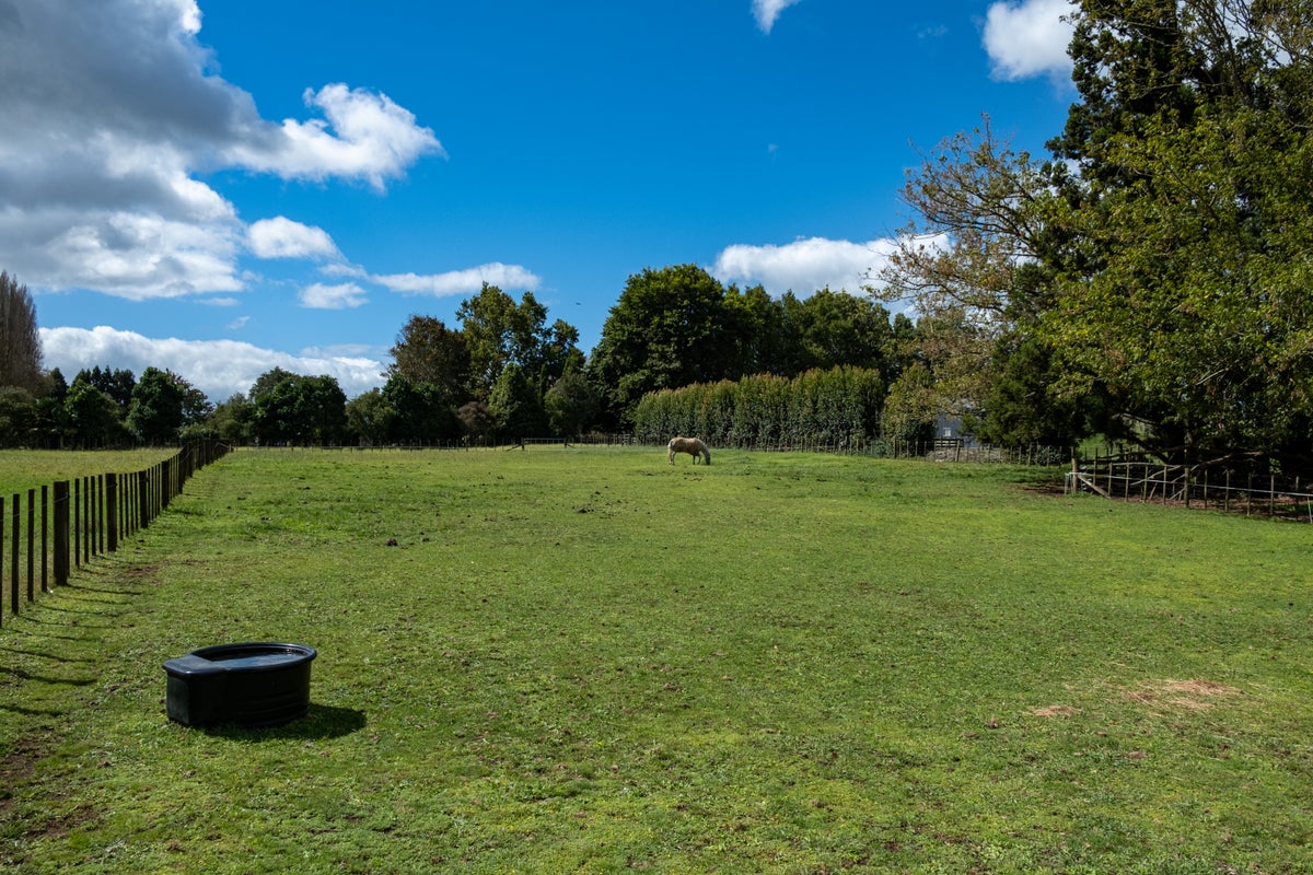 63A Ludbrook Road, Pakaraka, Kaikohe - Carousel 34
