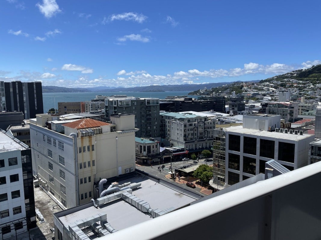 406/74 Taranaki Street, Te Aro, Wellington - Carousel 20