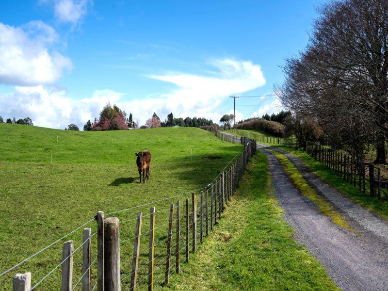 149 Hamurana Road, Rotorua - Carousel 20
