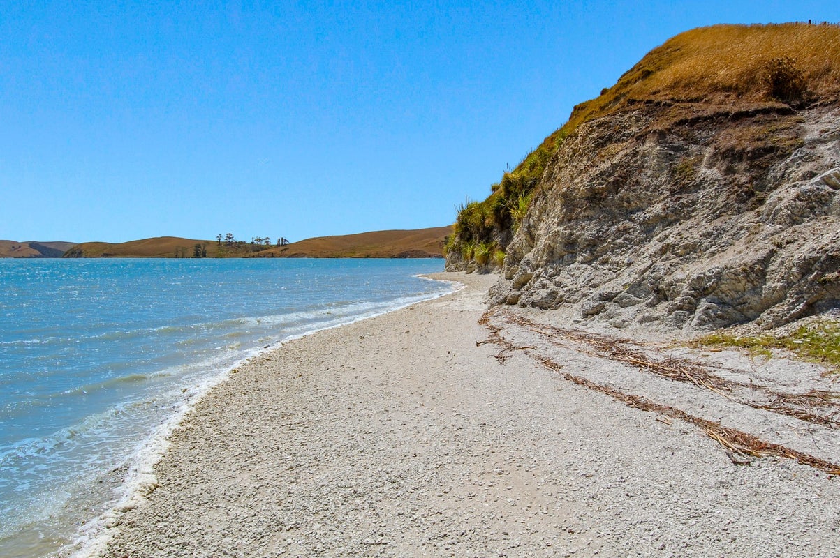 1498 Oneriri Road, Kaiwaka, Kaipara, Northland - Carousel 41