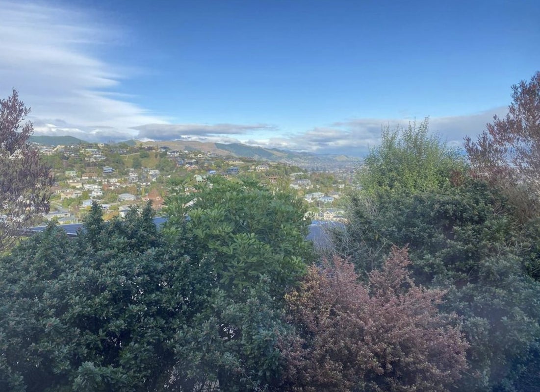 9 Pinnacle Place, Wakatu, Nelson - Carousel 2