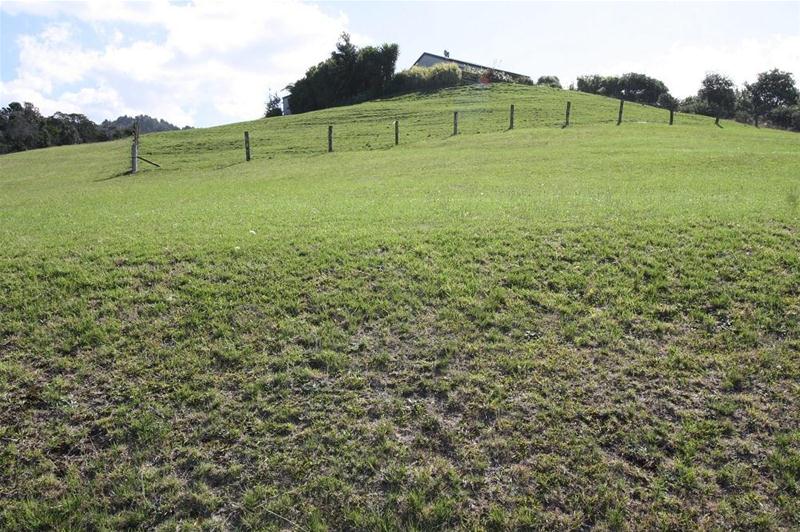 26 Dolphin Drive, Whiritoa, Waihi - Carousel 2