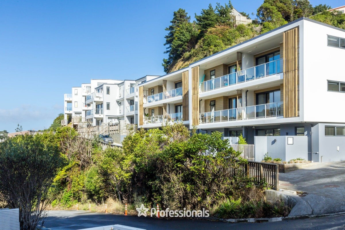 6/67 Tiketike Way, Brooklyn, Wellington - Carousel 1