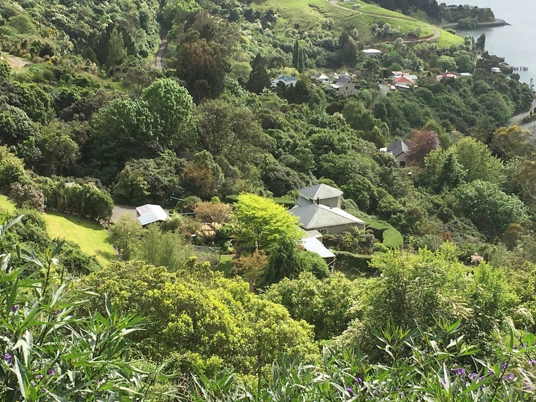38 Coombe Hay Terrace, Careys Bay, Dunedin - Carousel 1