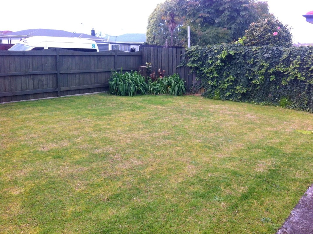 14 Emmett Street, Greerton, Tauranga - Carousel 10