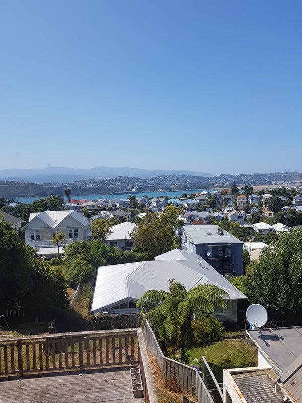 81 Rakau Rd, Hataitai, Wellington - Carousel 1