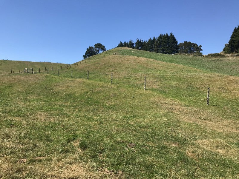 343 Oruanui Road, Wairakei, Taupo - Carousel 1