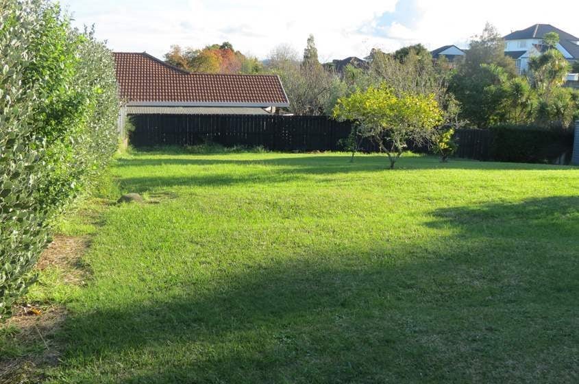 411 Richardson Road, Mount Roskill, Auckland - Carousel 11