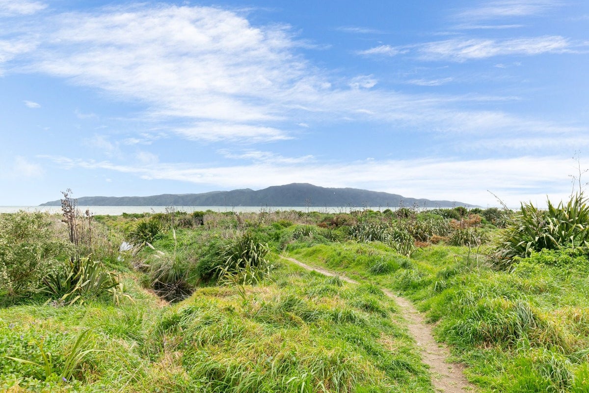 9 Webber Street, Paraparaumu Beach, Paraparaumu - Carousel 15