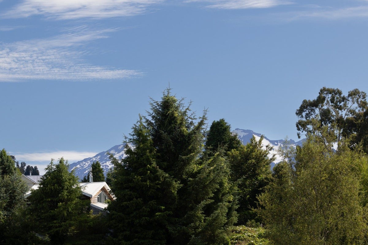 21 Willow Lane, Ohakune - Carousel 32