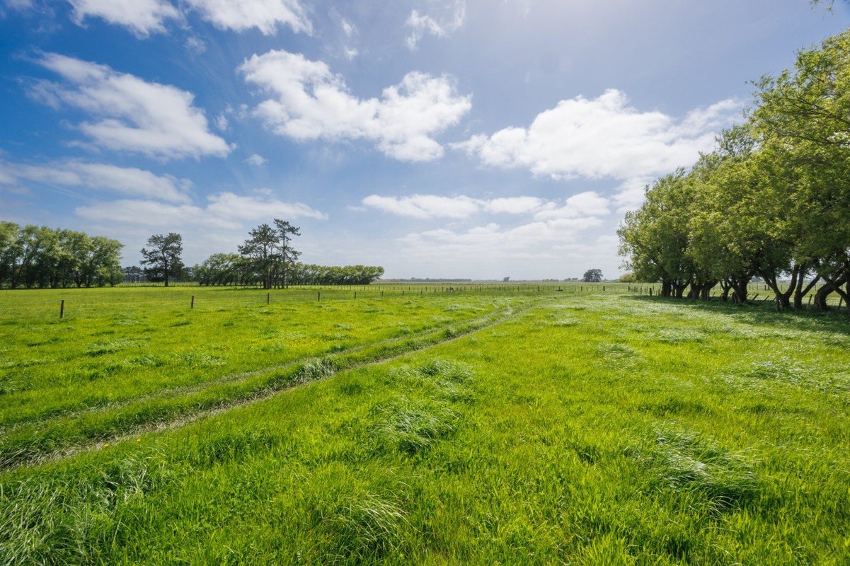 1331 Rongotea Road, Kairanga, Palmerston North - Carousel 2