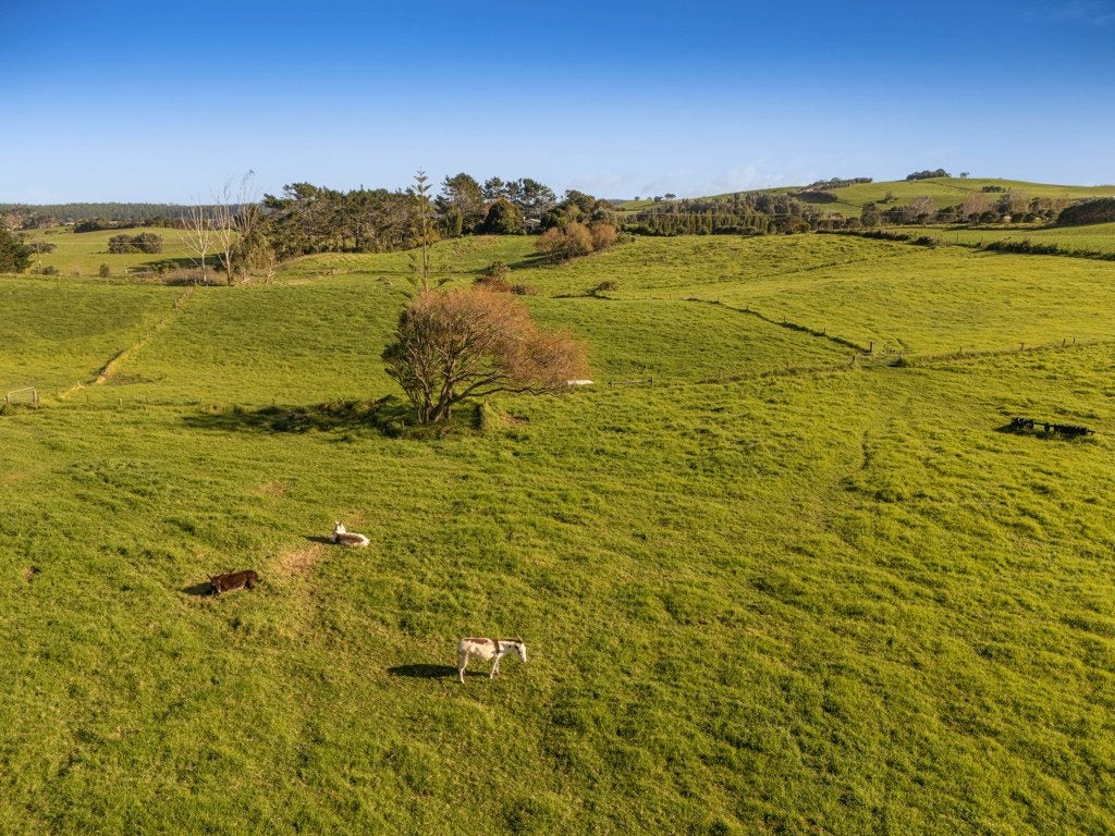 2640 SOUTH HEAD ROAD, Helensville, Auckland - Carousel 50