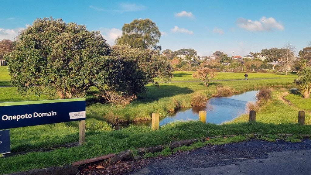 2 Puawai Place, Northcote, Auckland - Carousel 11