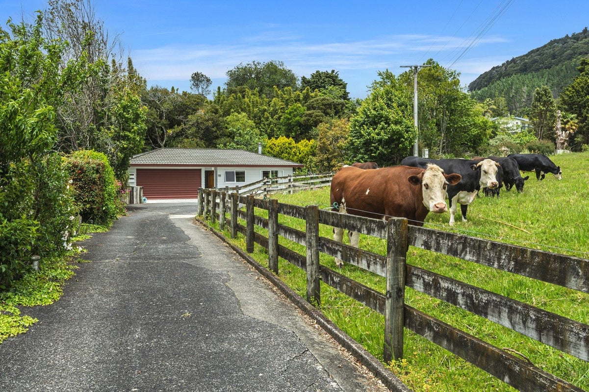 20A Tuatara Drive, Kamo, Whangarei - Carousel 1