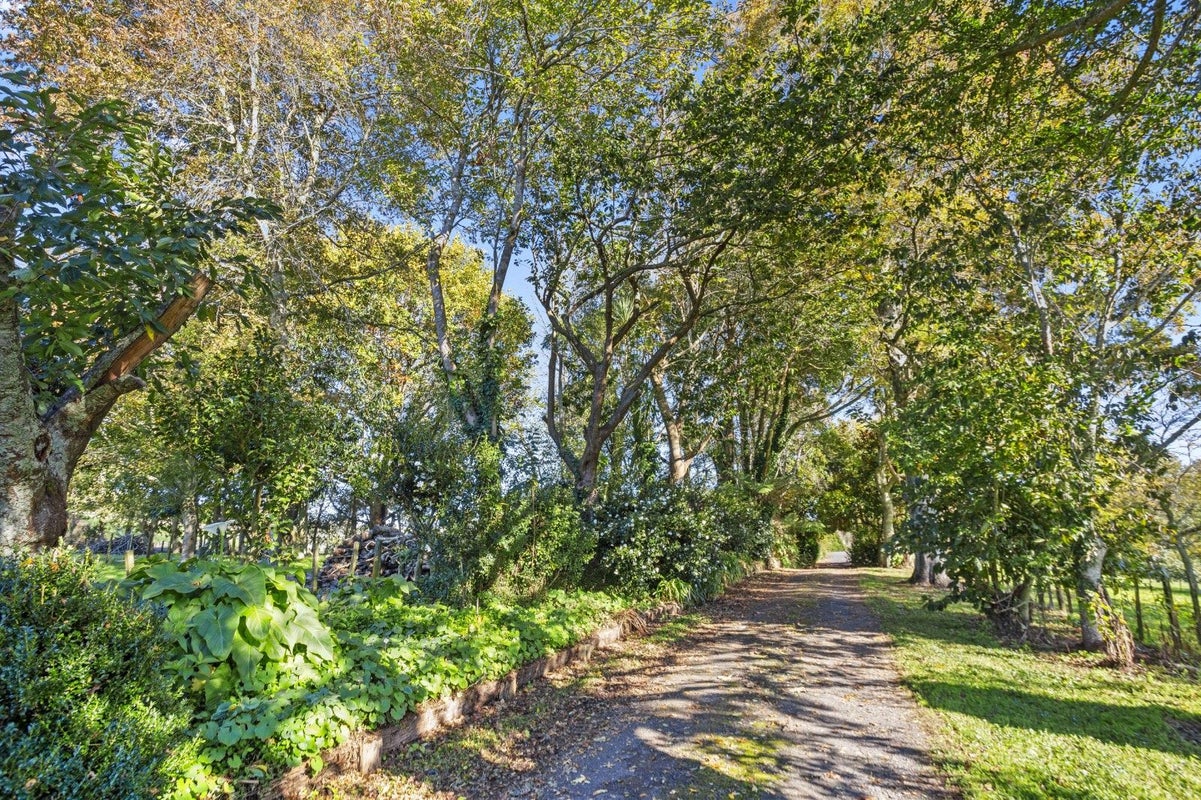 137B Pukekauri Road, Waikino, Waihi - Carousel 25