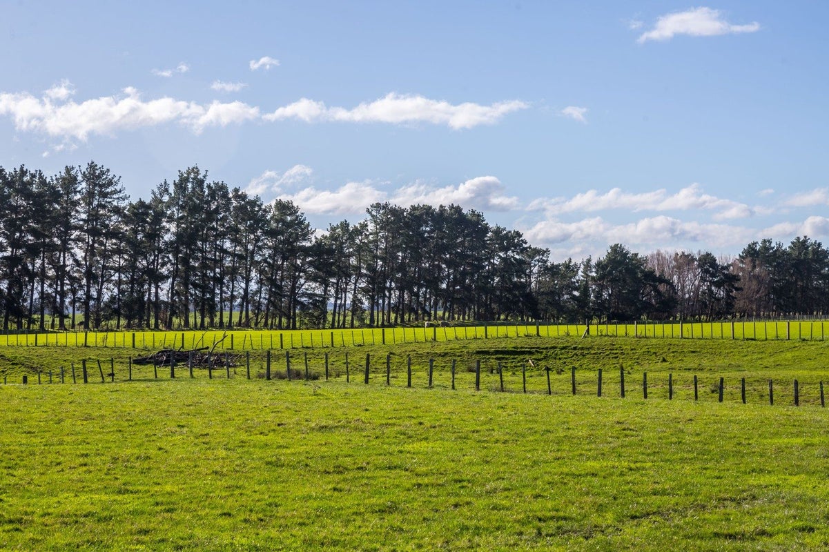 18 Mahaki Road, Dyerville, Martinborough - Carousel 11