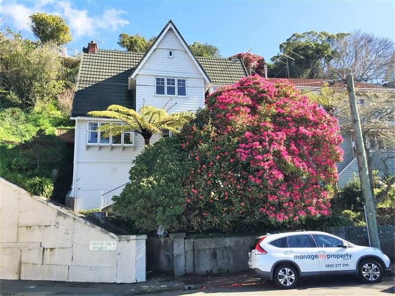 47 Northland Road, Northland, Wellington - Carousel 14
