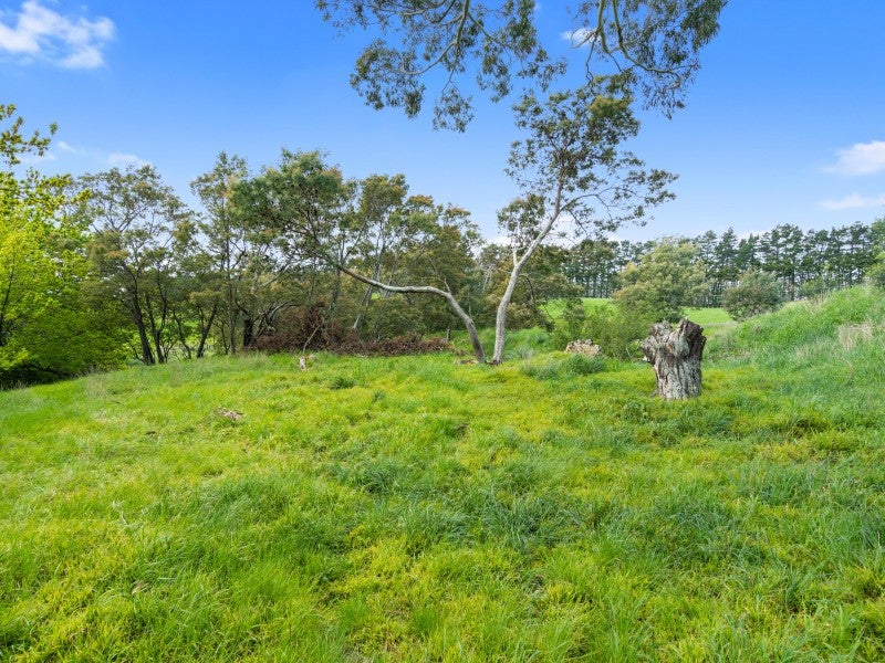 0 Wards Line, Morison Bush, Greytown - Carousel 2