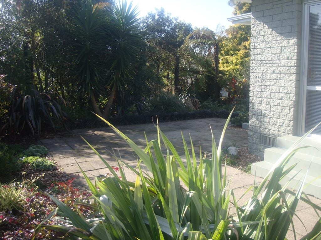 6 Linthorpe Place, Hillcrest, Hamilton - Carousel 20