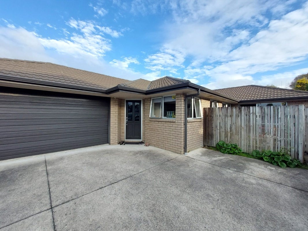 19A Carey Street, Maeroa, Hamilton - Carousel 21