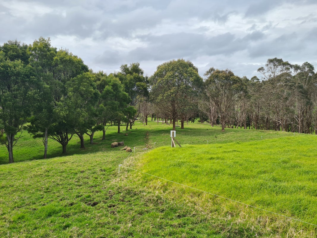 54 Hall Road, Matakohe - Carousel 1