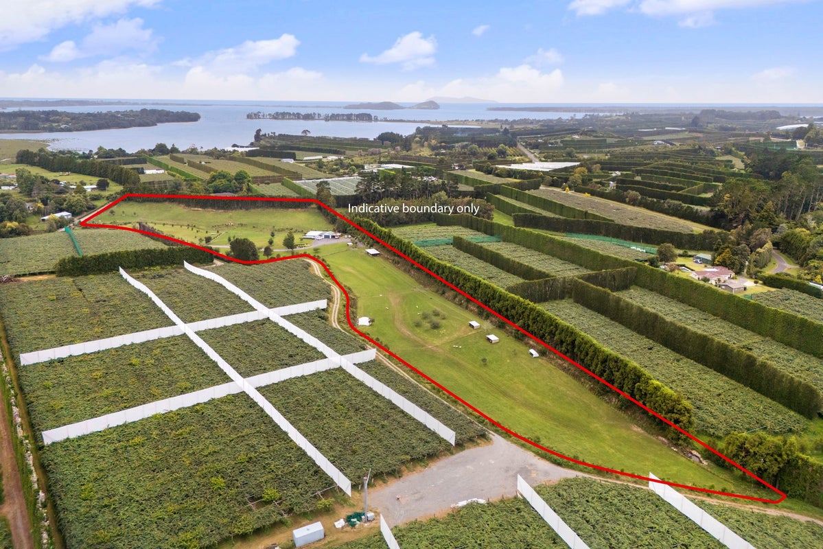 110 Tuapiro Road, Tahawai, Katikati - Carousel 19