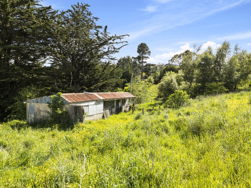93 Campbells Road, Pine Hill, Dunedin - Carousel 26
