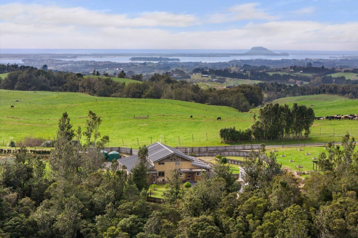 994 Work Road, Whakamarama, Katikati - Carousel 23