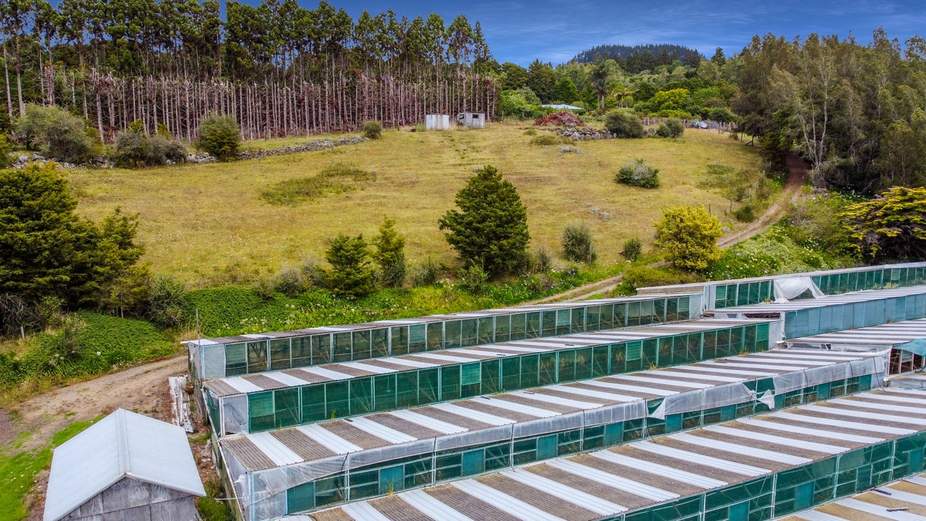 0 Pipiwai Road, Matarau, Kamo - Carousel 1