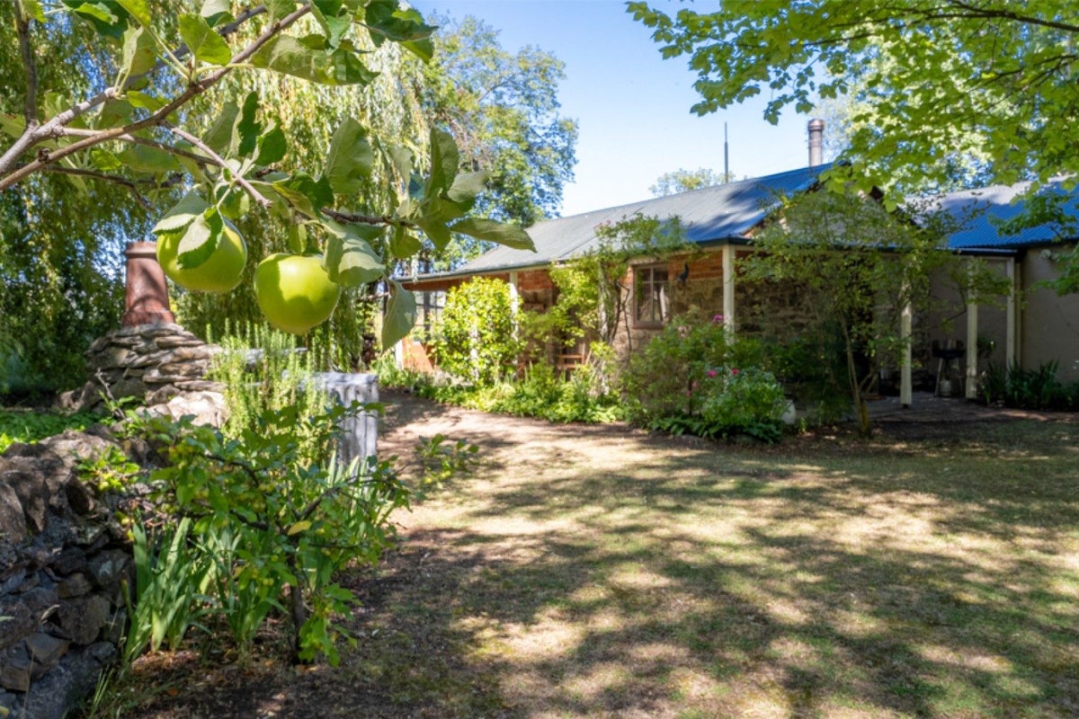 175 Fisher Lane, Galloway, Alexandra - Carousel 2