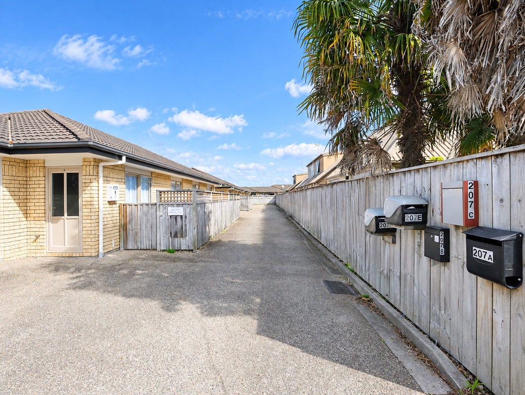 207C Killarney Road, Frankton, Hamilton, Waikato - Carousel 16