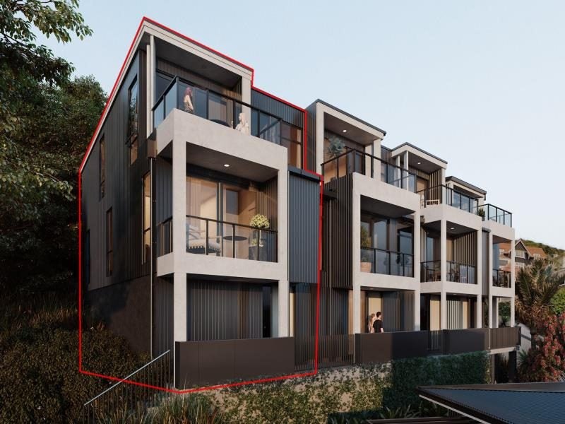 1F Wilkinson Street, Oriental Bay, Wellington - Carousel 2