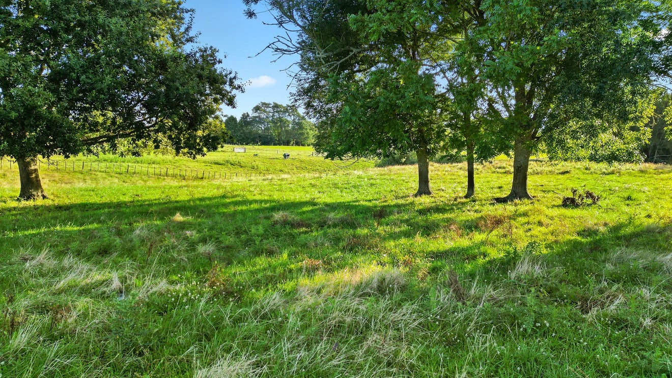 35 Jury Road, Ngahinapouri, Hamilton - Carousel 2